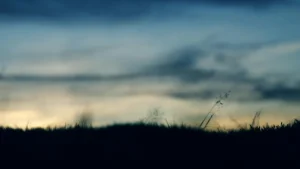 Blurred view of a dark grassy horizon beneath a cloudy evening sky