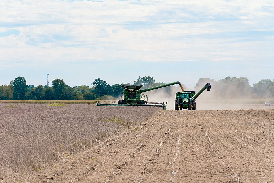 Soybean harvest